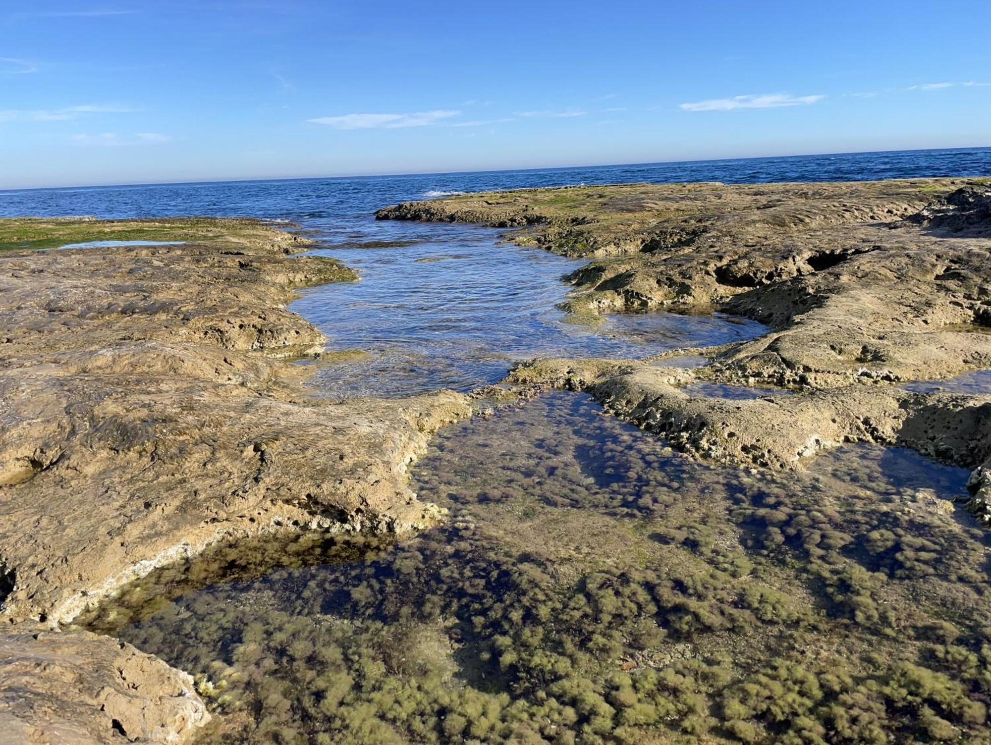 Villa Suerte Del Mar ตอร์เรเวียคา ภายนอก รูปภาพ